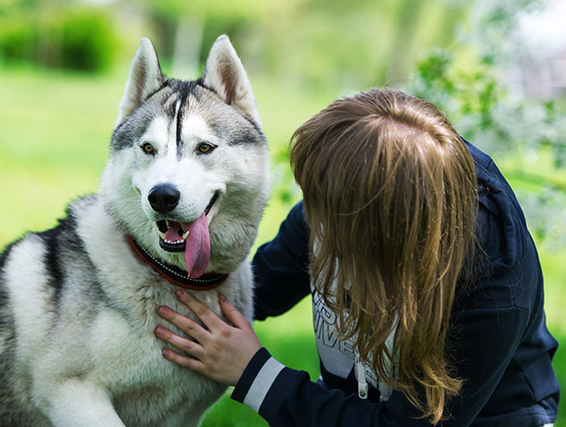 Formation Educateur Canin