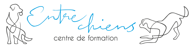 Entre Chiens