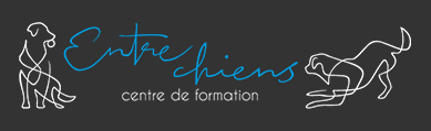 Entre Chiens