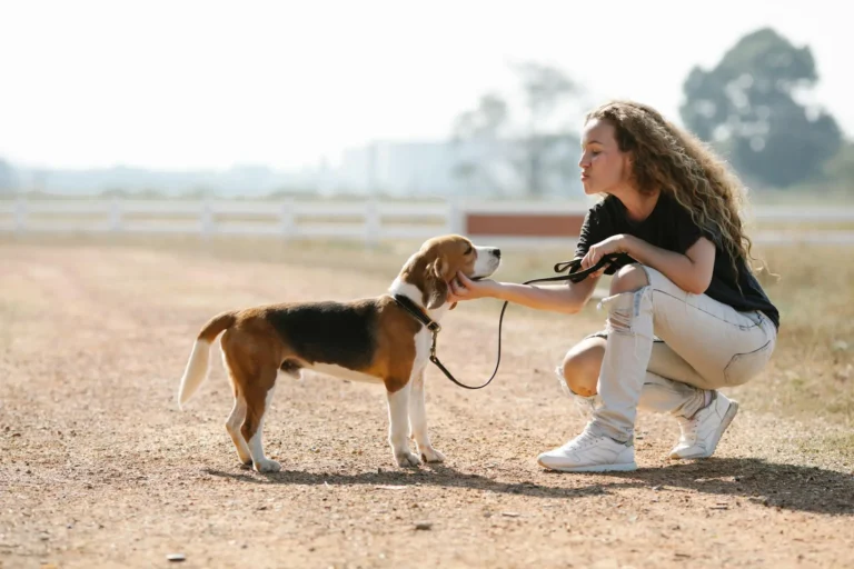 Formation éducateur canin